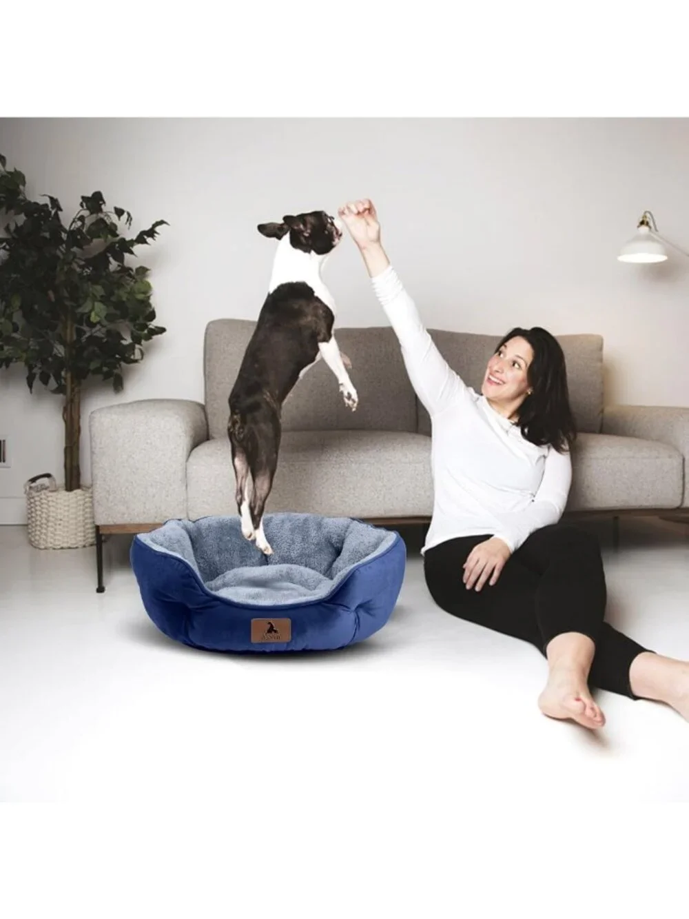 Cozy Small Dog & Cat Bed, Soft Machine Washable, Anti-Slip, Water-Resistant, 20